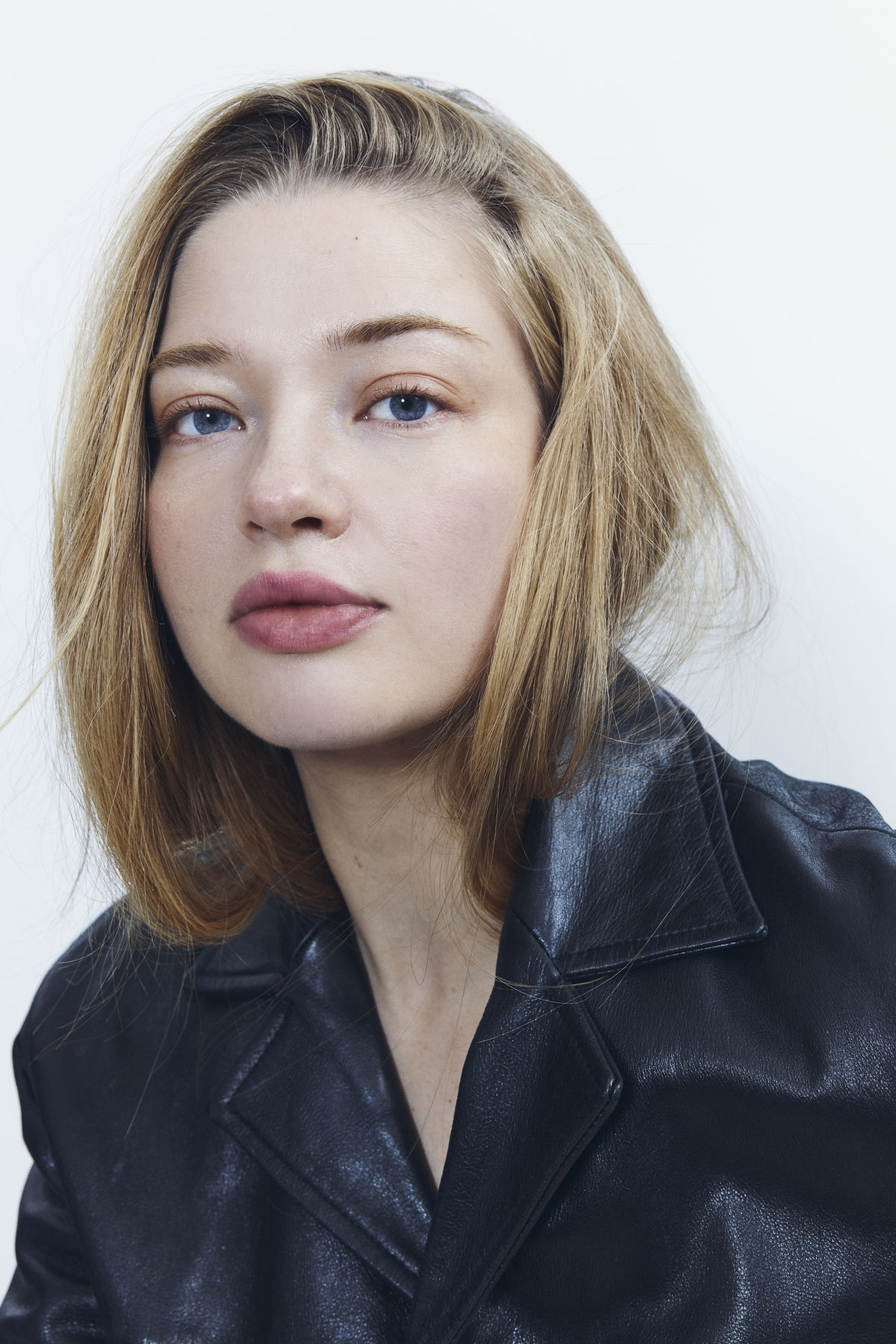 DAKOTA - Crystal Model Management